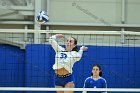 VB vs Plymouth St  Wheaton Women’s Volleyball vs Plymouth St. - Photo by Keith Nordstrom